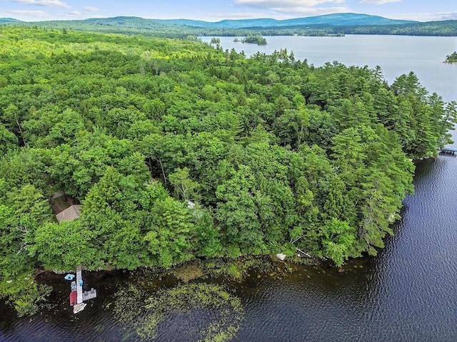 91 Diller Line, Chesterville, ME 04938 - photo 44