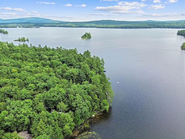 91 Diller Line, Chesterville, ME 04938 - photo 51