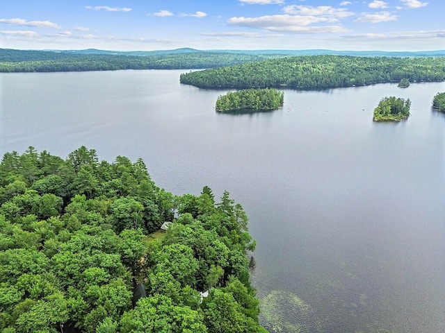 91 Diller Line, Chesterville, ME 04938 - photo 50