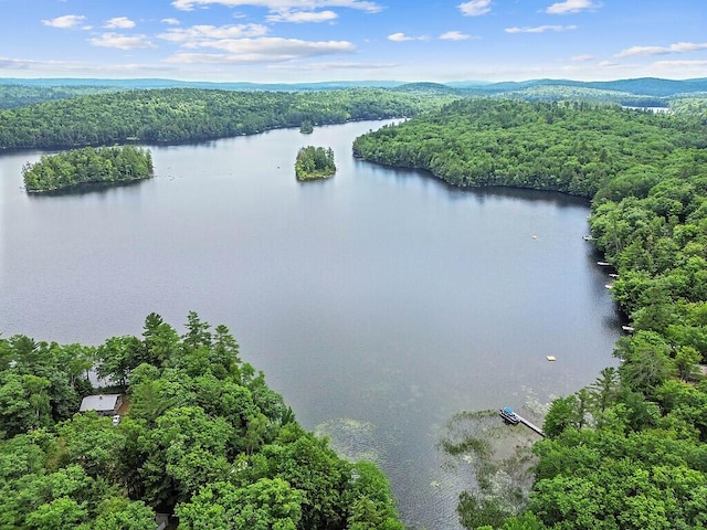91 Diller Line, Chesterville, ME 04938 - photo 46