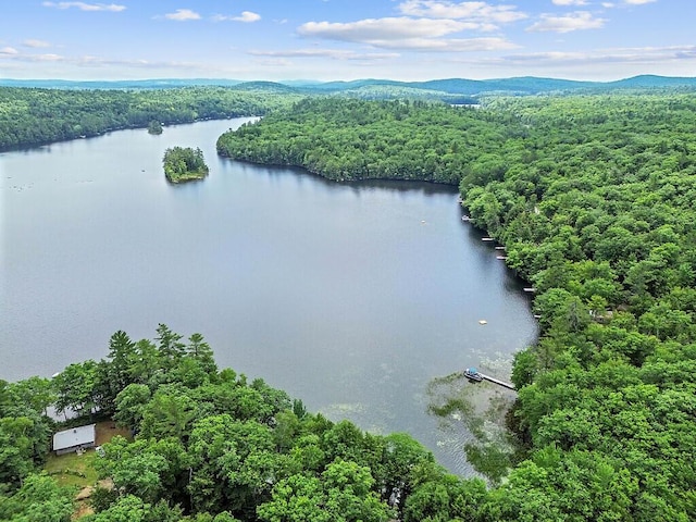 91 Diller Line, Chesterville, ME 04938 - photo 47