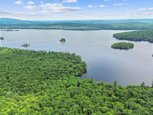 91 Diller Line, Chesterville, ME 04938 - photo 49