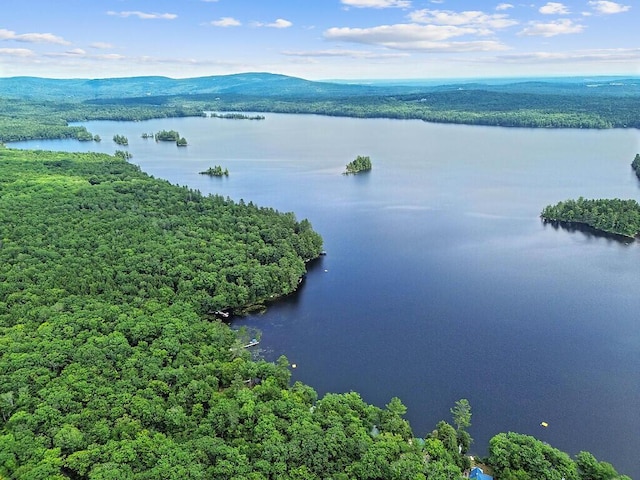 91 Diller Line, Chesterville, ME 04938 - photo 48