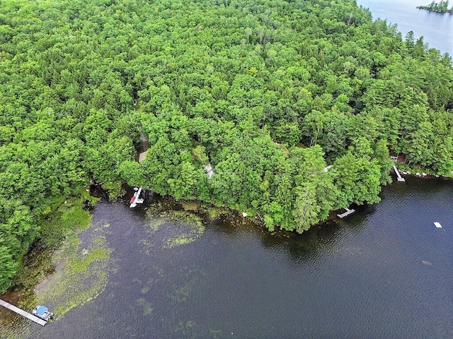 91 Diller Line, Chesterville, ME 04938 - photo 52
