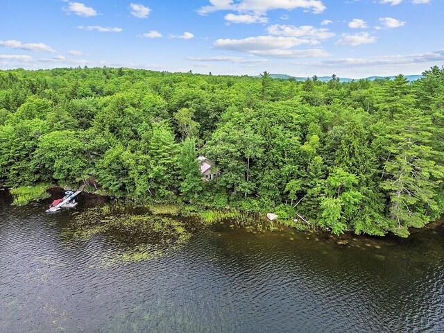 91 Diller Line, Chesterville, ME 04938 - photo 53