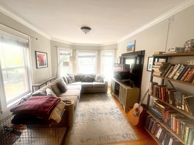 78 Mellen St Unit 2, Portland, ME 04101 - living area featuring light wood-style flooring and ornamental molding