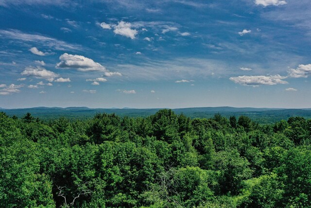 740 Pinnacle Rd, Liberty, ME 04949 - photo 6