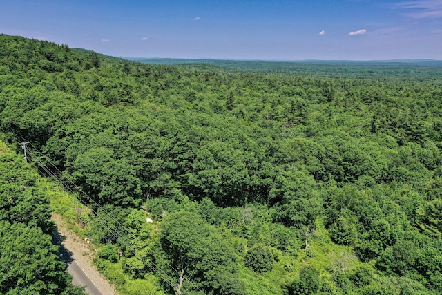 740 Pinnacle Rd, Liberty, ME 04949 - photo 8