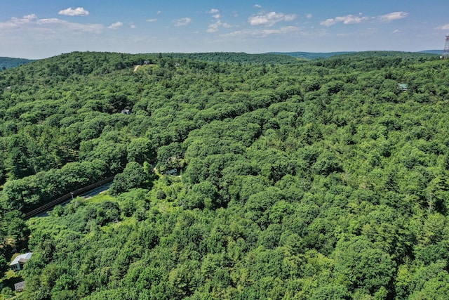 740 Pinnacle Rd, Liberty, ME 04949 - photo 12