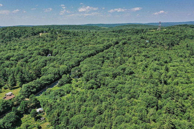 740 Pinnacle Rd, Liberty, ME 04949 - photo 13