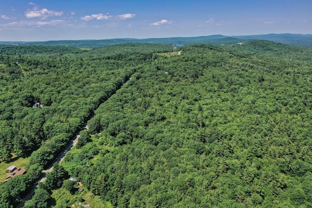 740 Pinnacle Rd, Liberty, ME 04949 - photo 14
