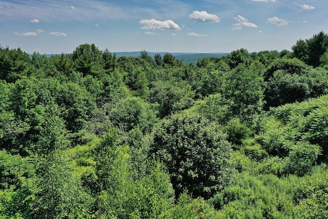 740 Pinnacle Rd, Liberty, ME 04949 - photo 18