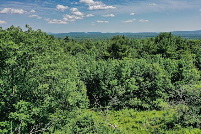 740 Pinnacle Rd, Liberty, ME 04949 - photo 20
