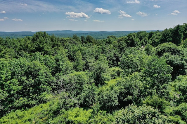 740 Pinnacle Rd, Liberty, ME 04949 - photo 21