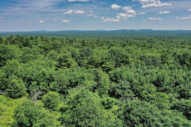 740 Pinnacle Rd, Liberty, ME 04949 - photo 22