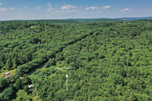 740 Pinnacle Rd, Liberty, ME 04949 - photo 2