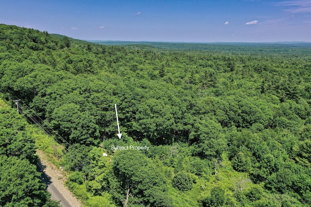 740 Pinnacle Rd, Liberty, ME 04949 - photo 1
