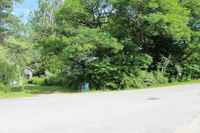 7 Maple St, Milbridge, ME 04658 - view of asphalt road
