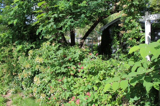 7 Maple St, Milbridge, ME 04658 - view of local wilderness