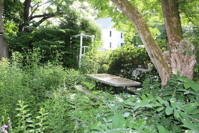 7 Maple St, Milbridge, ME 04658 - view of yard