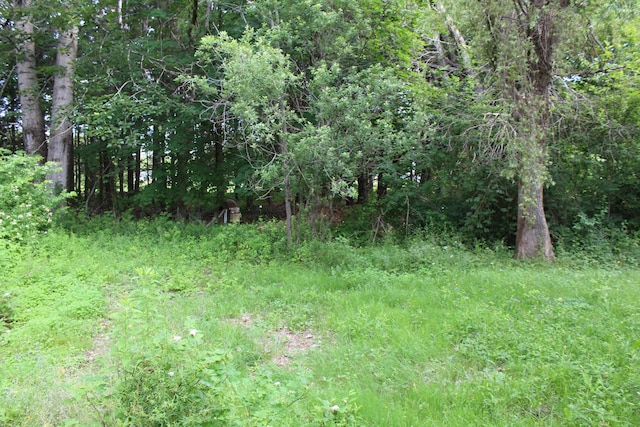 7 Maple St, Milbridge, ME 04658 - view of woods