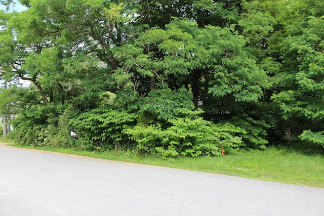 7 Maple St, Milbridge, ME 04658 - view of asphalt street
