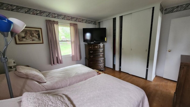 32 Highland Ave, Lincoln, ME 04457 - bedroom featuring wood finished floors and multiple closets