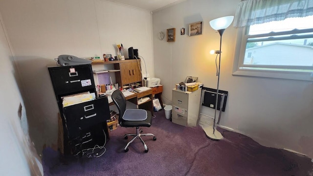 32 Highland Ave, Lincoln, ME 04457 - view of carpeted office space