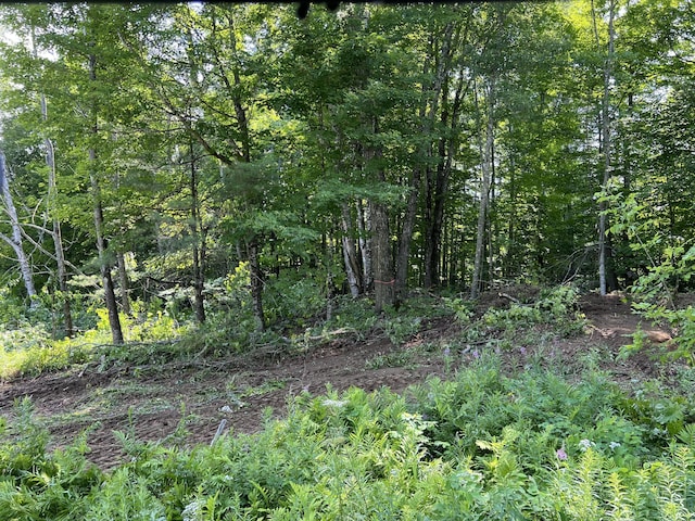M15L16-1 Oldham Rd, Saint Albans, ME 04971 - view of tree filled area