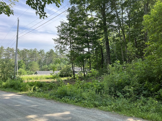 M15L16-1 Oldham Rd, Saint Albans, ME 04971 - view of road