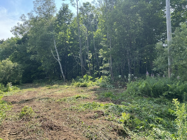 M15L16-1 Oldham Rd, Saint Albans, ME 04971 - view of nature