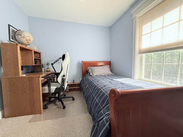 134 Pine Ledge Rd, Bangor, ME 04401 - photo 69