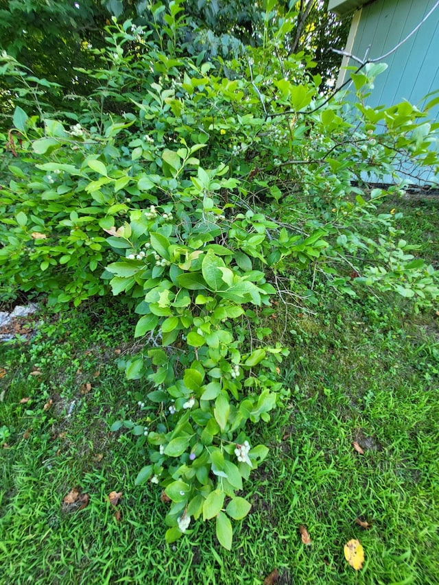 313 Waldo Station Rd, Waldo, ME 04915 - photo 4