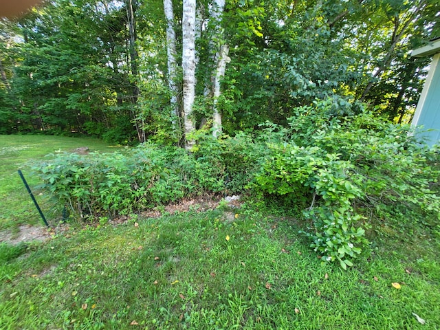 313 Waldo Station Rd, Waldo, ME 04915 - photo 5