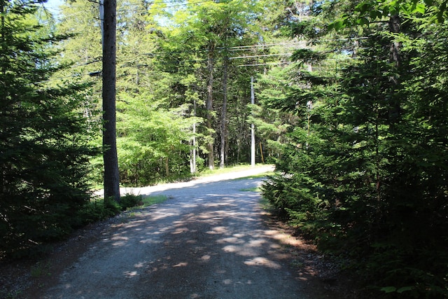 297 High Head Rd, East Machias, ME 04630 - photo 25