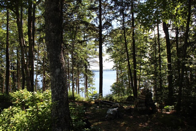 297 High Head Rd, East Machias, ME 04630 - photo 28