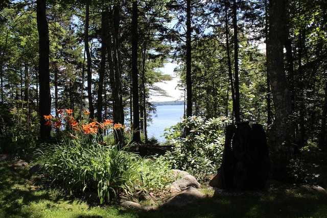 297 High Head Rd, East Machias, ME 04630 - photo 29