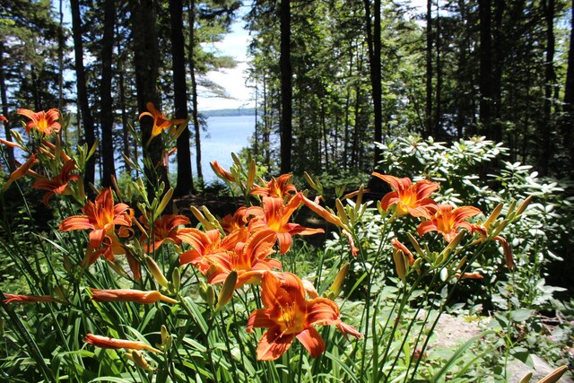 297 High Head Rd, East Machias, ME 04630 - photo 23