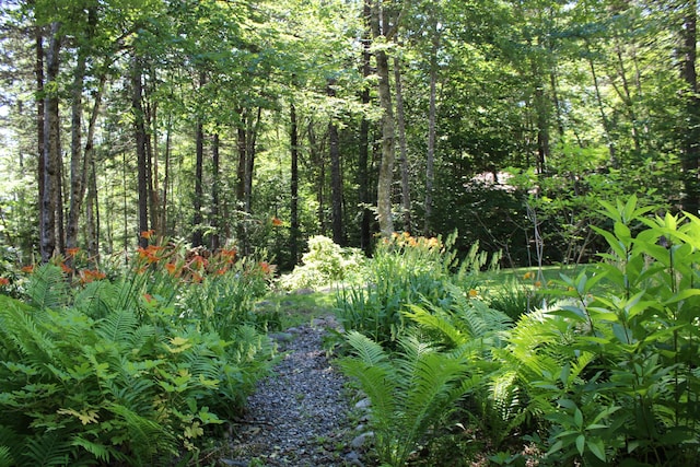 297 High Head Rd, East Machias, ME 04630 - photo 24