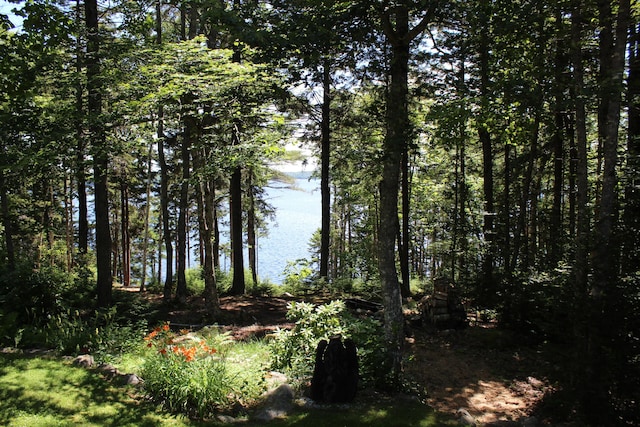 297 High Head Rd, East Machias, ME 04630 - photo 40