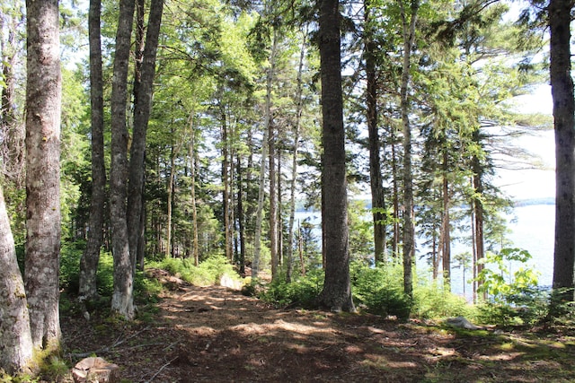 297 High Head Rd, East Machias, ME 04630 - photo 76