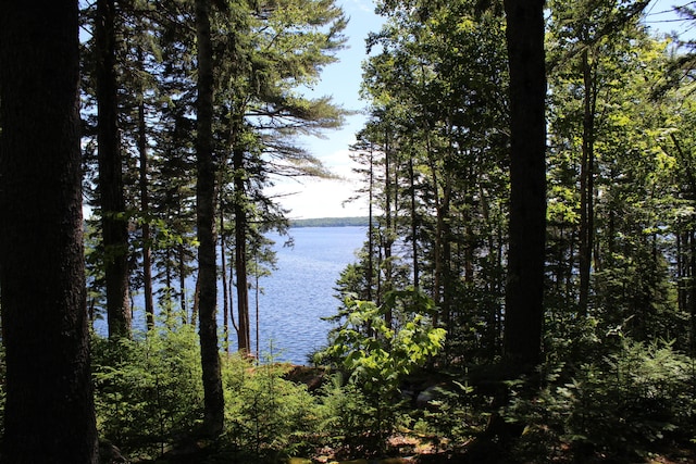 297 High Head Rd, East Machias, ME 04630 - photo 77