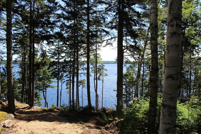 297 High Head Rd, East Machias, ME 04630 - photo 79
