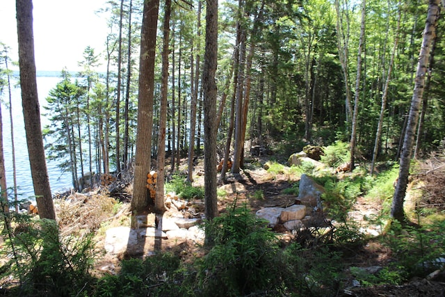 297 High Head Rd, East Machias, ME 04630 - photo 81