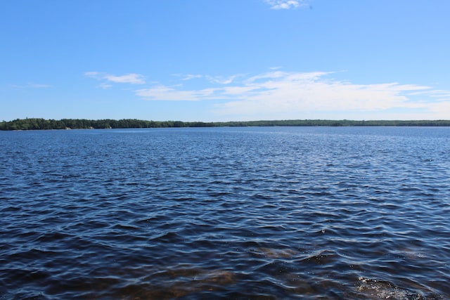 297 High Head Rd, East Machias, ME 04630 - photo 84