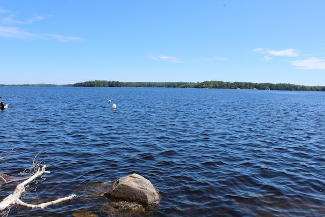 297 High Head Rd, East Machias, ME 04630 - photo 5