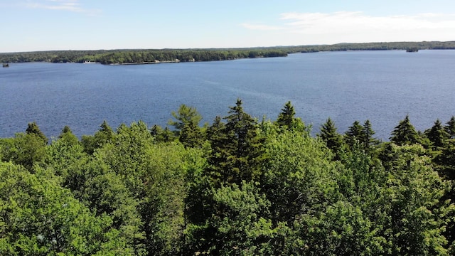 297 High Head Rd, East Machias, ME 04630 - photo 85