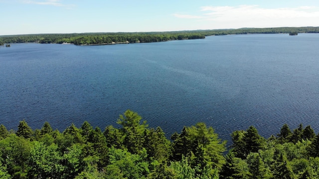 297 High Head Rd, East Machias, ME 04630 - photo 86