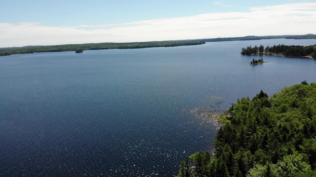 297 High Head Rd, East Machias, ME 04630 - photo 88
