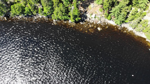 297 High Head Rd, East Machias, ME 04630 - photo 92